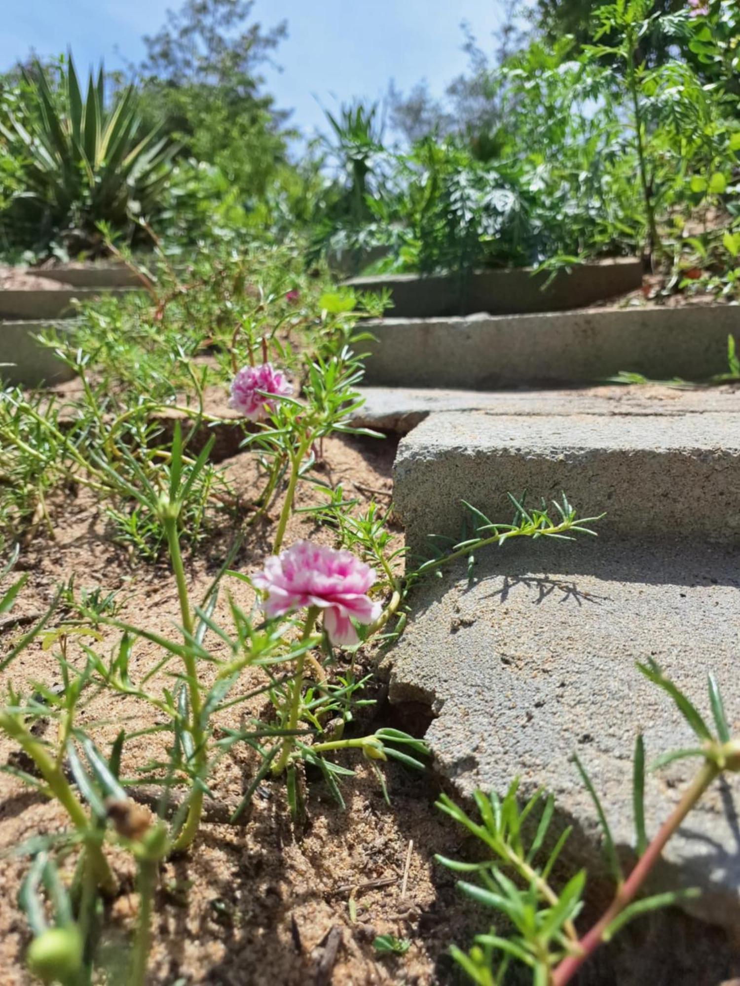 Homestay Dat Phu Tuy Hoa Εξωτερικό φωτογραφία