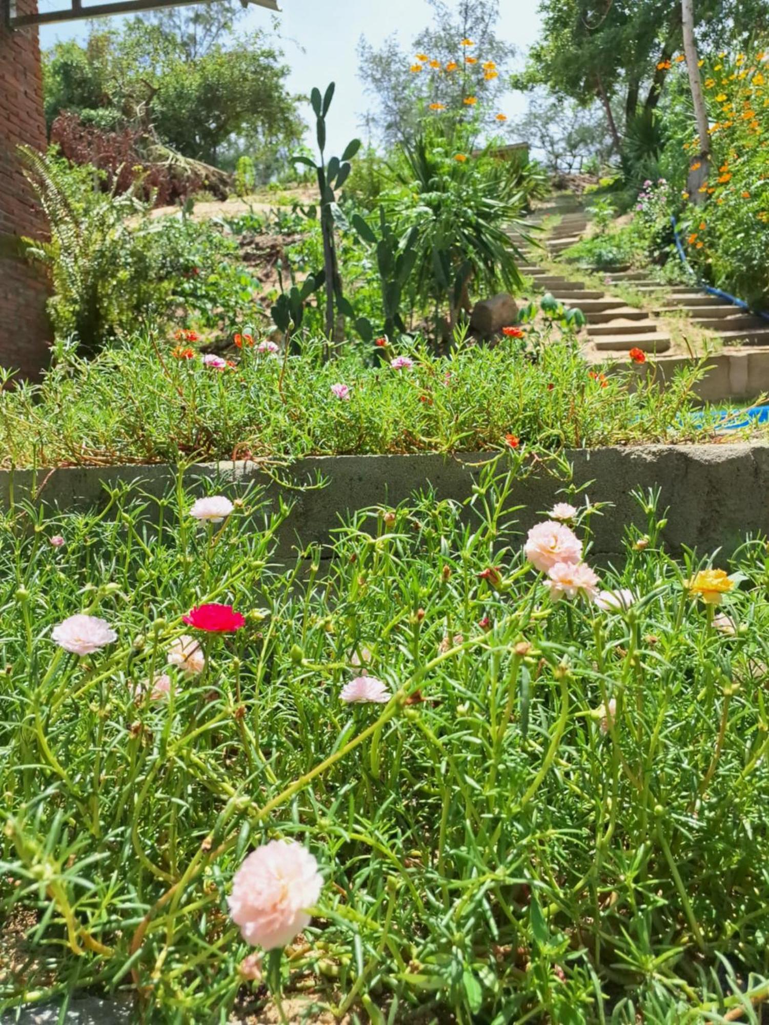 Homestay Dat Phu Tuy Hoa Εξωτερικό φωτογραφία