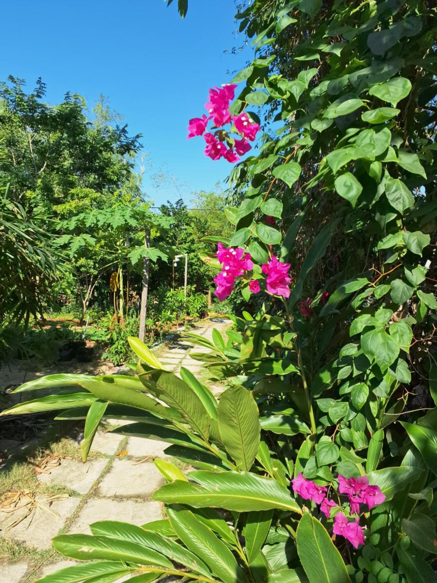 Homestay Dat Phu Tuy Hoa Εξωτερικό φωτογραφία